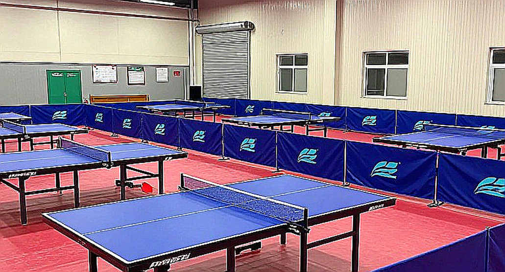 Katy, Texas và cú quét vàng U11–U13: Lớp trầm tích non trẻ của bóng bàn Mỹ nhìn từ góc khảo cổ